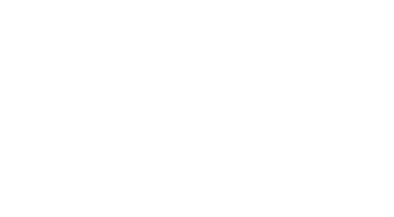 Logo Garage Geeraerts 