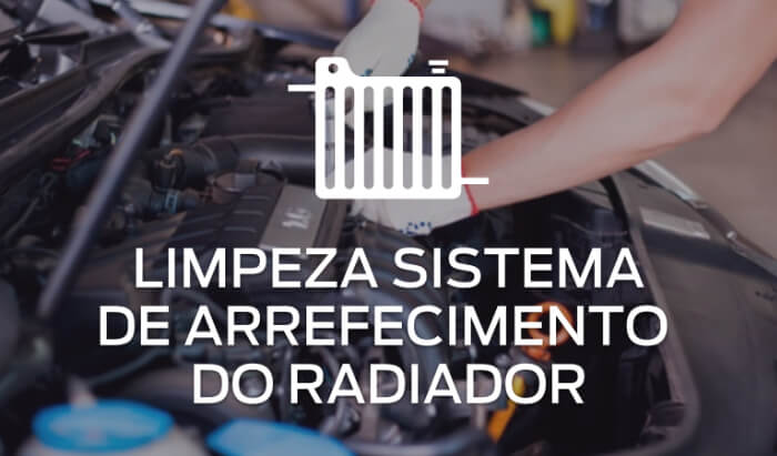 Limpeza do Sistema de Arrefecimento do Radiador megafor Mecânico manuseando motor