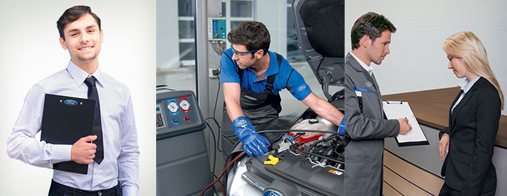 Carreiras Ford Triauto Pessoas em ambiente e Trabalho
