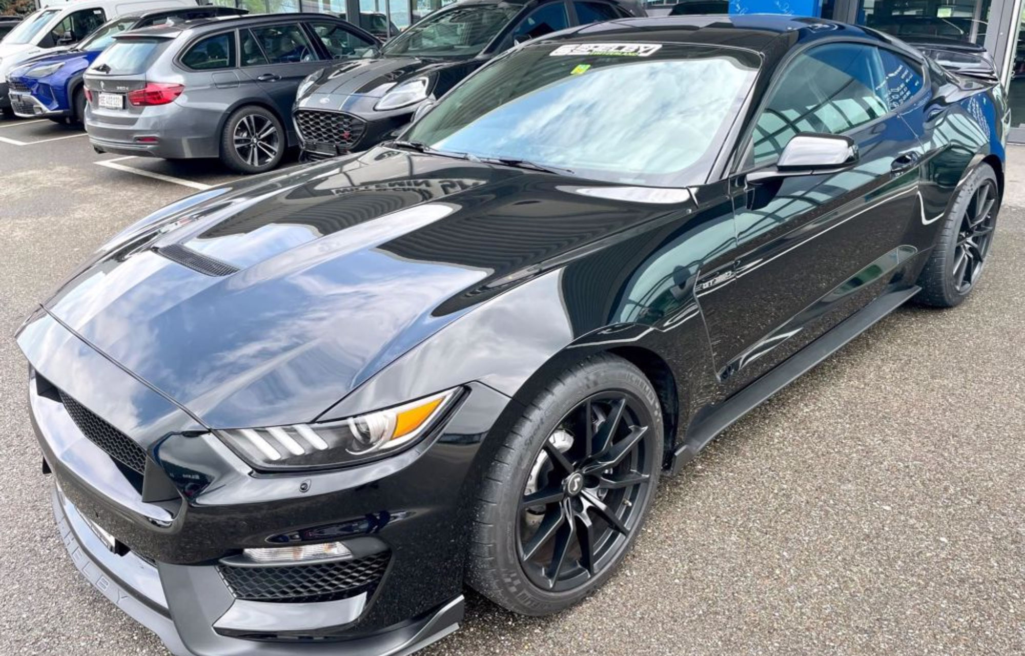 FORD MUSTANG SHELBY GT350