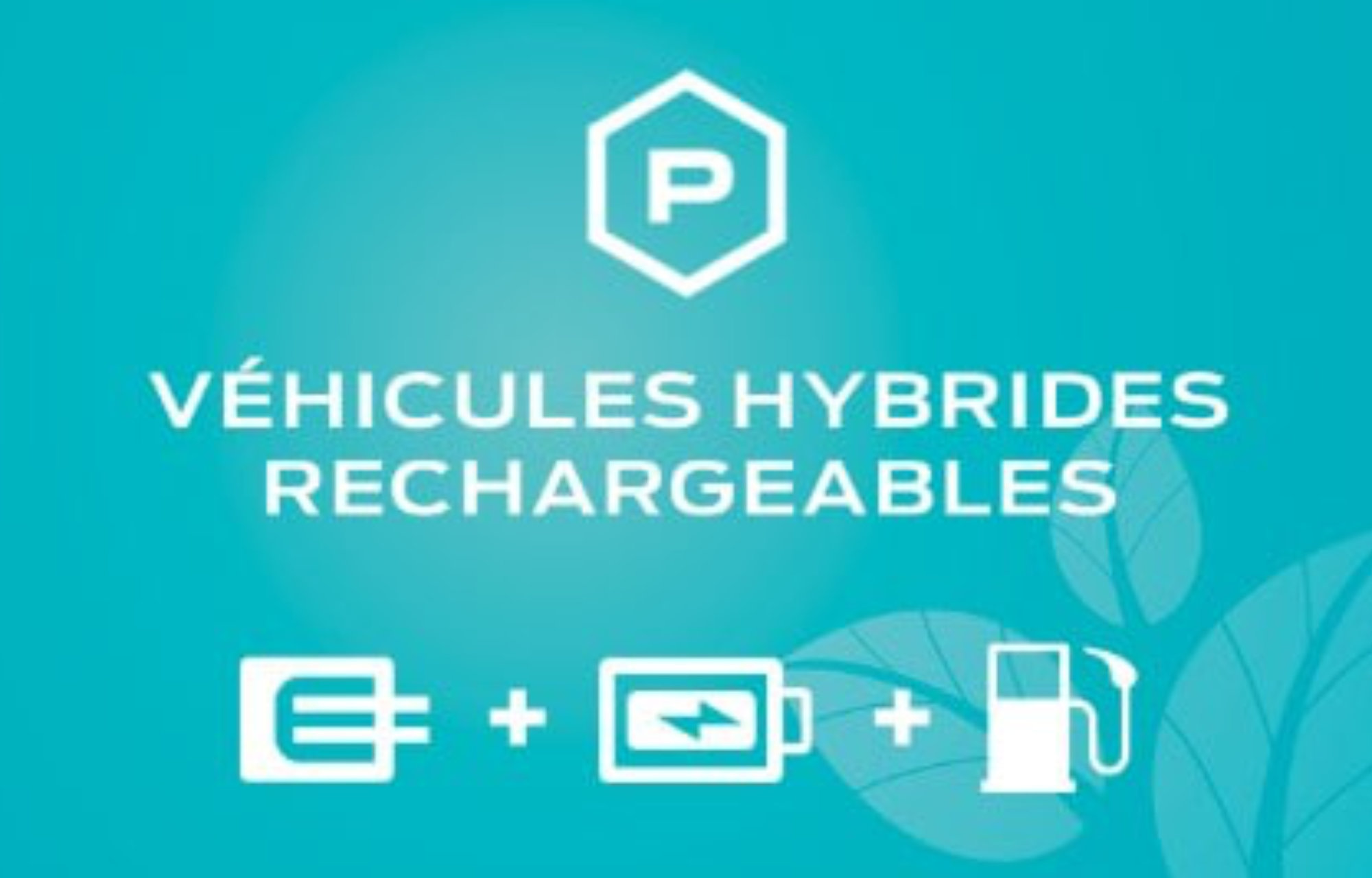 vehicules hybrides  rechargeables