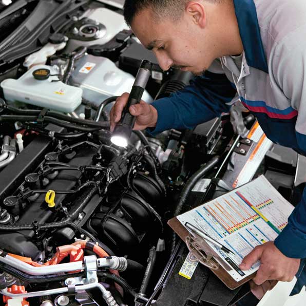 Flexible Service Program Aljazirah Vehicles