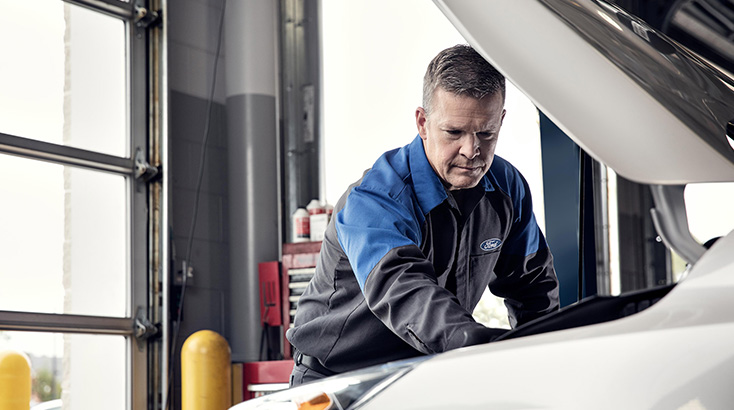 Vehicle Service promotions from Bay Ford Napier in Hawkes Bay