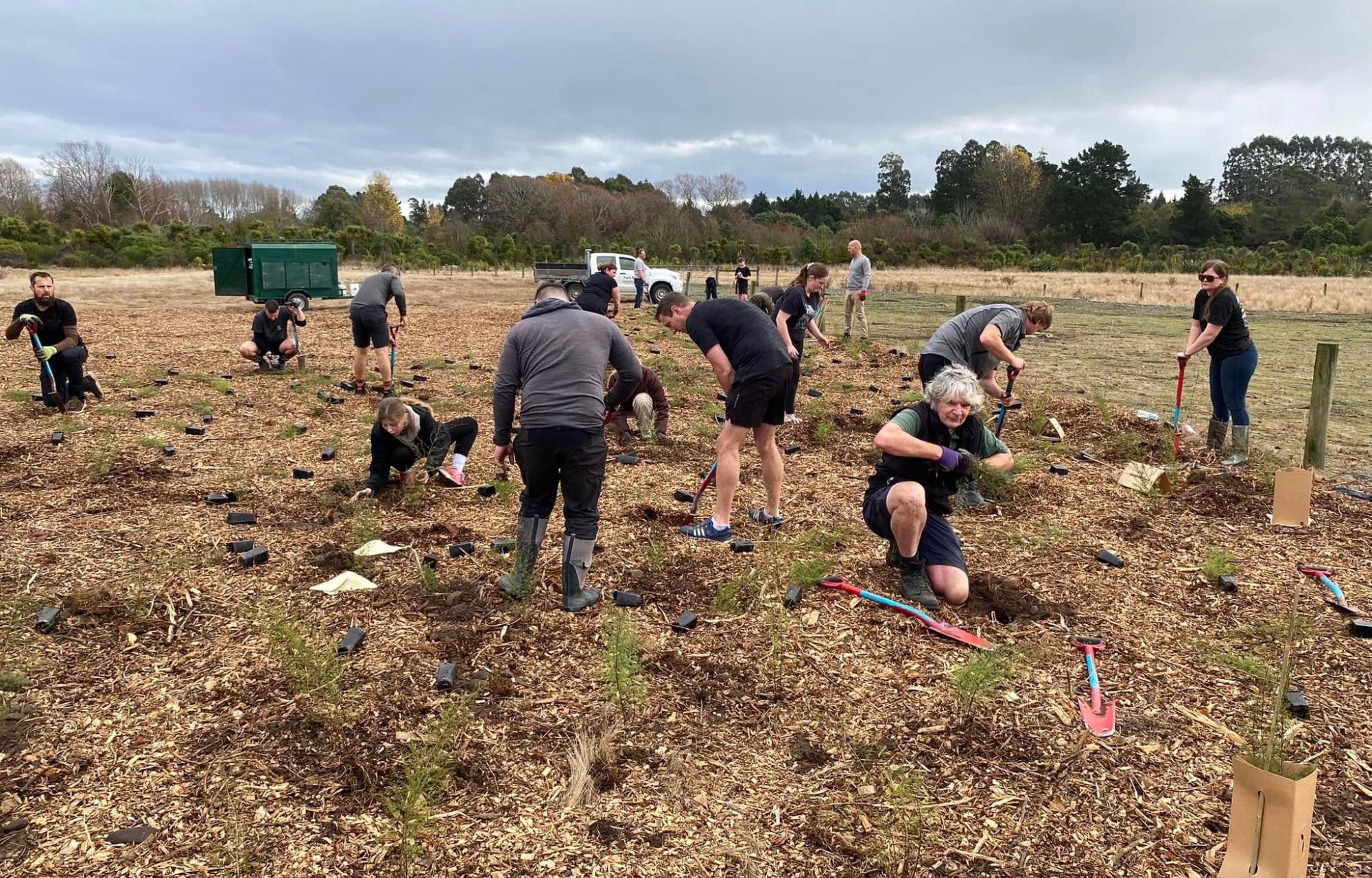 Trees for Canterbury